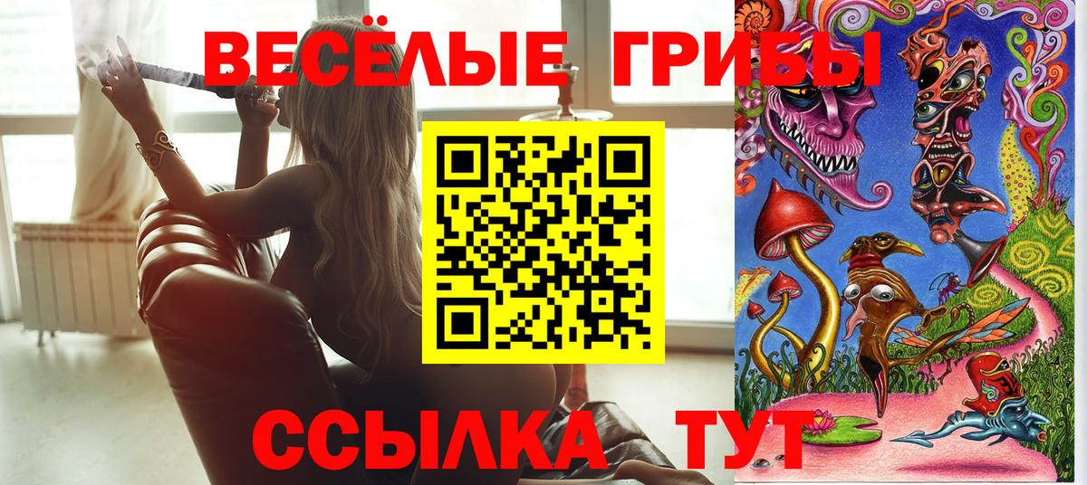 Находка  Псилоцибиновые грибы GOLDEN TEACHER  Вход с VPN 